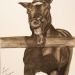 Sbadiglio - In questo ritratto realizzato a carboncino è raffigurata una scena tanto tipica quanto buffa della vita quotidiana di un cavallo: lo sbadiglio.